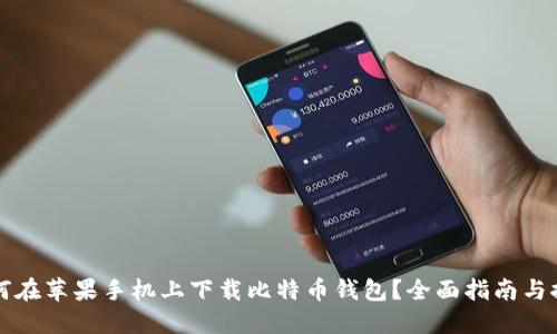 如何在苹果手机上下载比特币钱包？全面指南与推荐